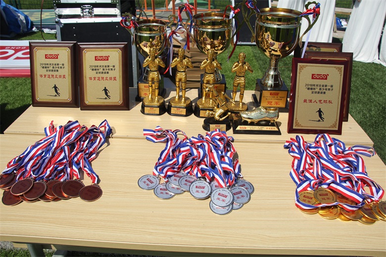 河北省嘟嘟杯,嘟嘟杯决赛