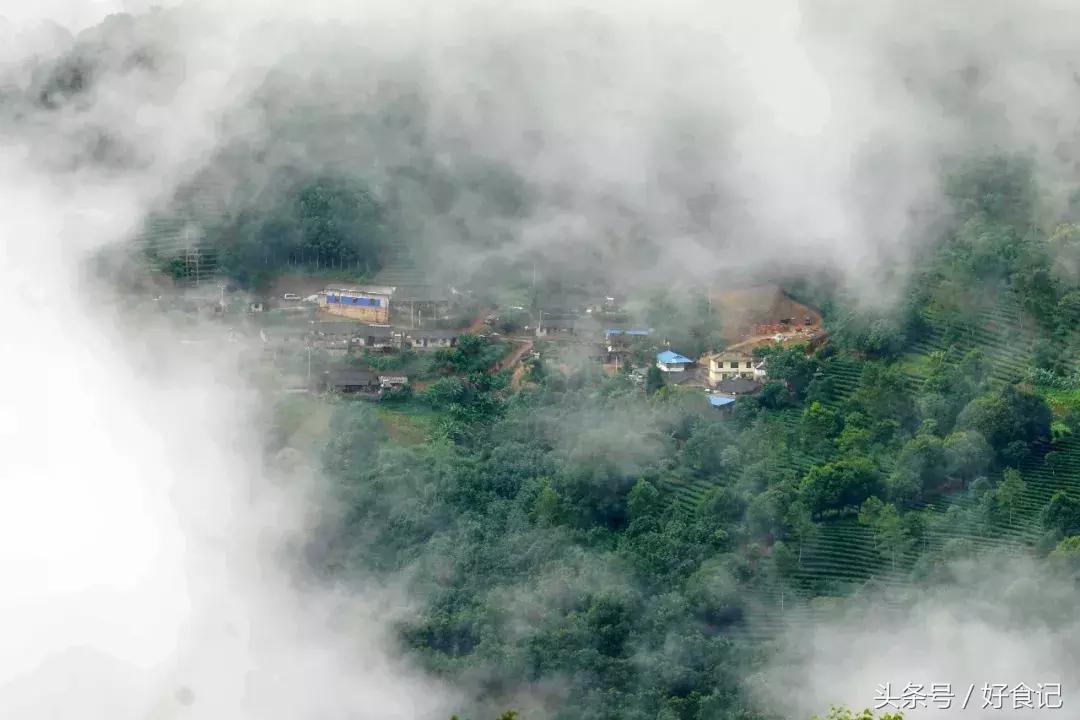 景迈有哪些寨子茶最贵,景迈山有村寨茶吗
