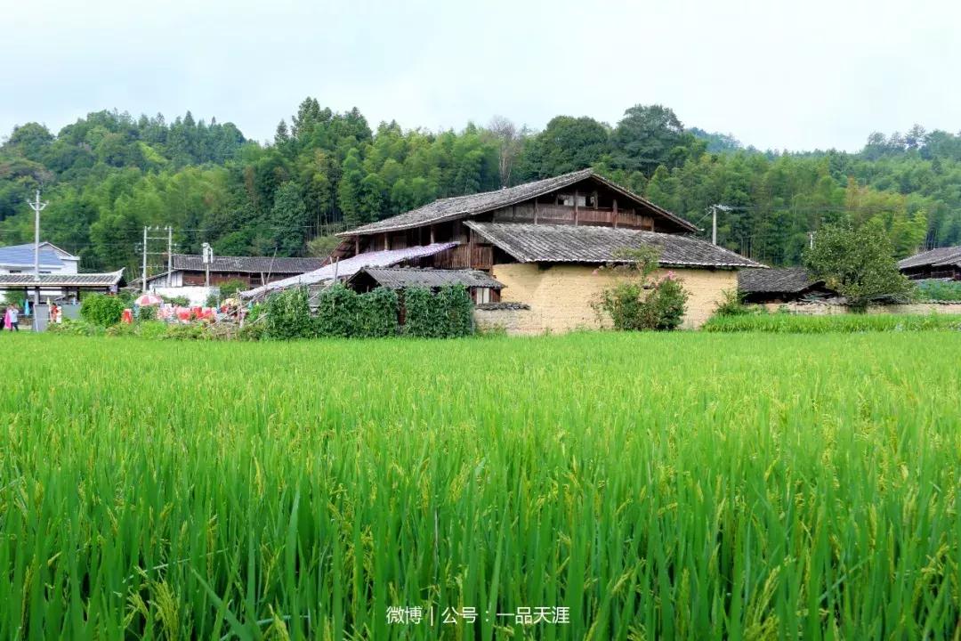 宋端宗、文天祥和红军都钟爱的明溪古村，我们有什么理由拒绝？