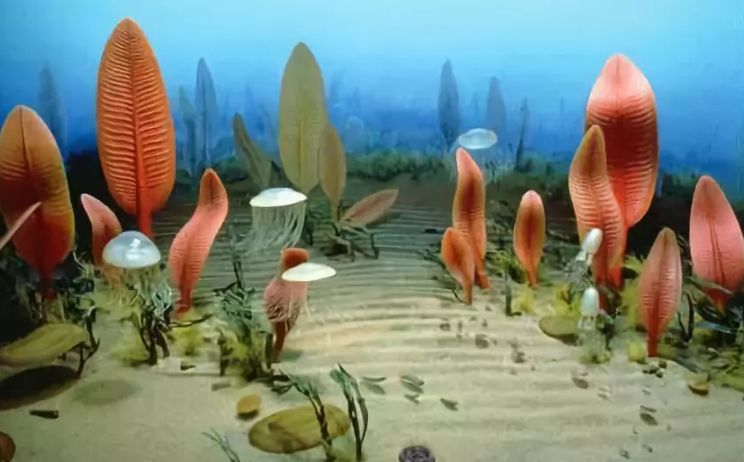 「免费科普招募」《侏罗纪》《疯狂原始人》告诉你的都是假的？专业老师带你体验别样的科普之旅！