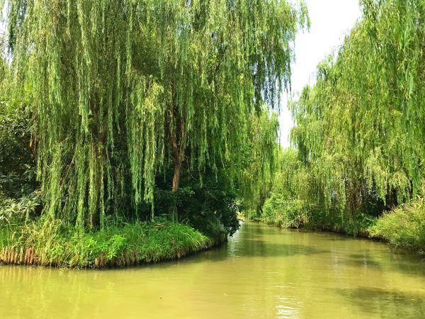 同里湿地好玩吗,同里湿地超有趣