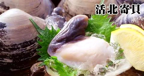 海边贝类种类,各种贝类的名称