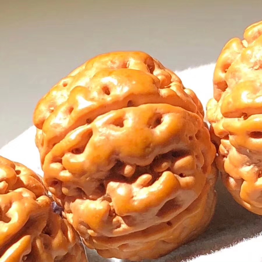 顶级6瓣小金刚手串,六瓣树王小金刚手串