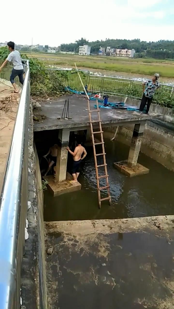 农村鱼塘养鱼最怕什么鱼,农村小水沟发现超大塘角鱼