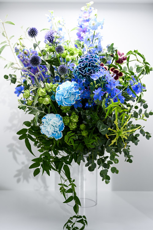 尼康Z7II全画幅微单评测视频,尼康z7微单深度评测