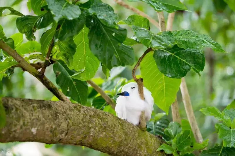 六个免签海岛颜值完爆马岱,值得去的海岛免签国家