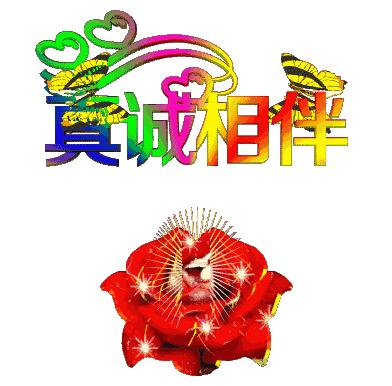 野子和田玉,野子吐露心声