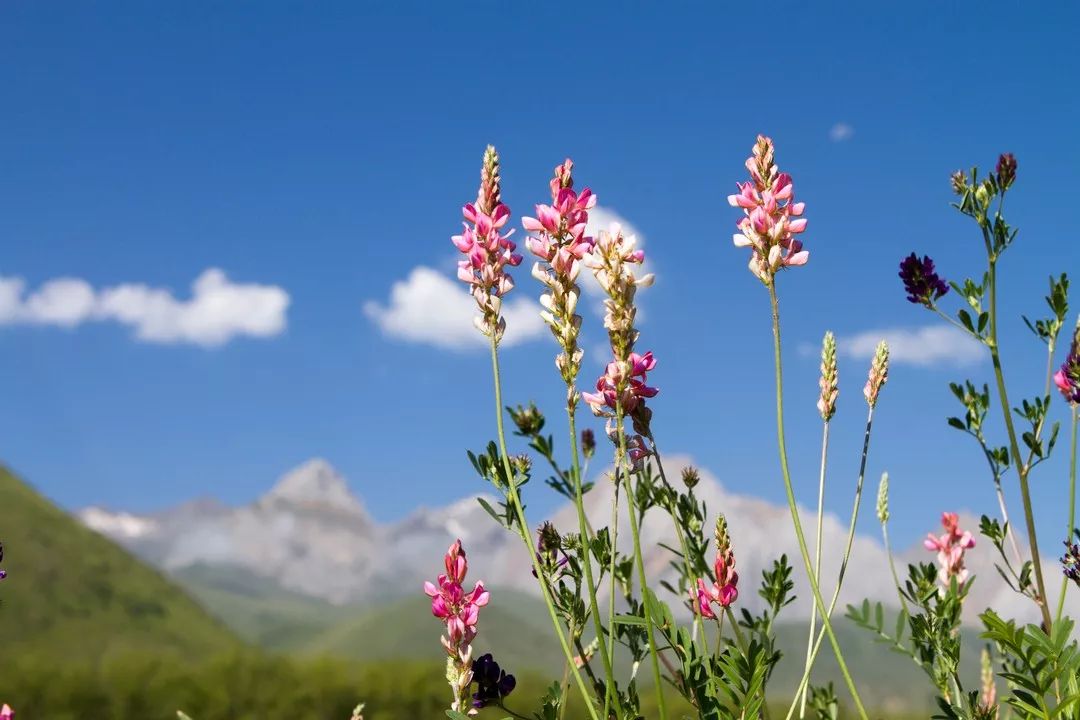 当你一无所有的时候谁会帮你,当你一无所有的时候的句子