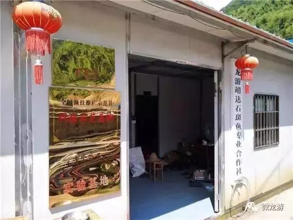 一亩养殖石斑鱼的利润是多少呢,养1万斤淡水石斑鱼盈利大概多少