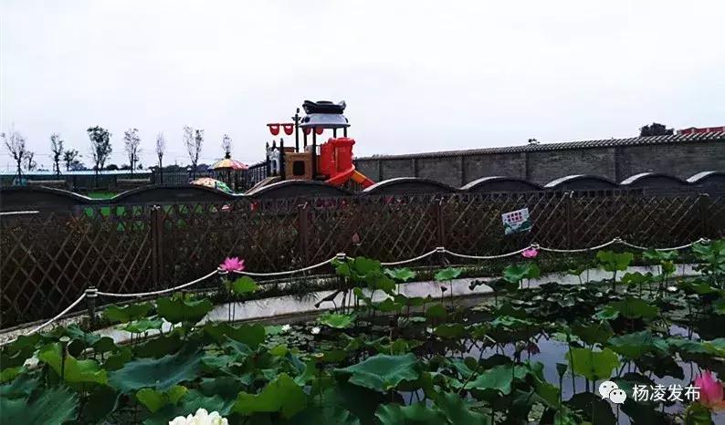 乡村振兴看保康,乡村振兴未来让城里人羡慕去吧