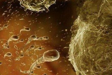 备孕期有炎症影响胎儿质量么,备孕检查出哪些问题了