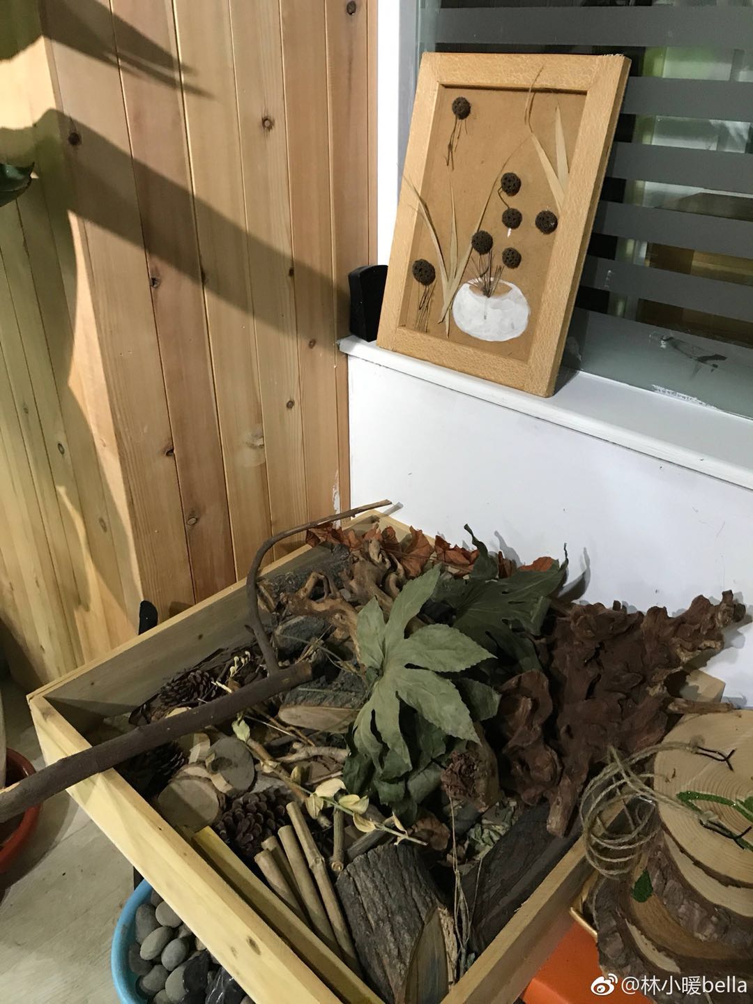 蒙氏和华德福瑞吉欧,蒙氏华德福和瑞吉欧哪个好