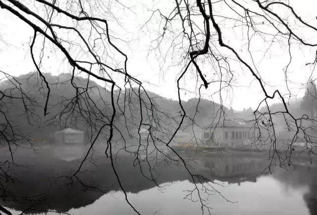 从没有哪座山有庐山的诗情画意,庐山有哪些有名的景观
