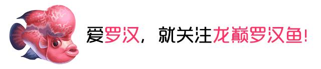 经验教训方面的收获,经验教训案例