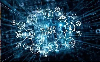 种植丝瓜一亩收入利润多少,大棚种植丝瓜一亩能赚多少钱