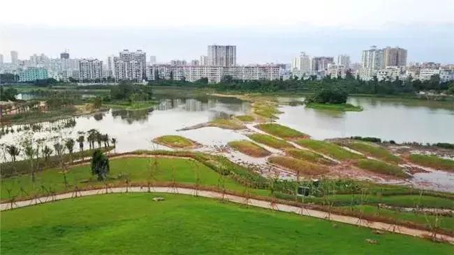 黄三哥广西,黄三哥的创作