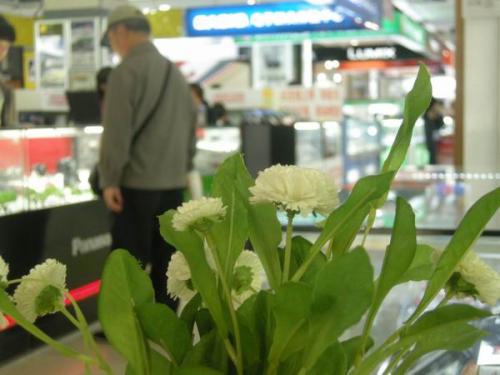 南京珠江路电脑城还坑吗,南京珠江路卖电脑的哪个店靠谱