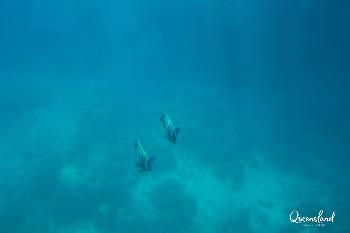 大堡礁坐船多久,去大堡礁玩多少钱