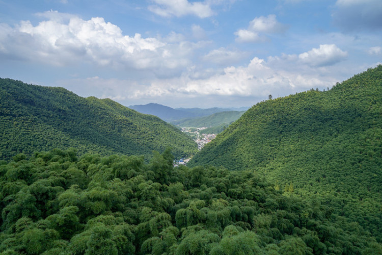 湖州安吉旅游省钱攻略,湖州安吉旅游攻略全部