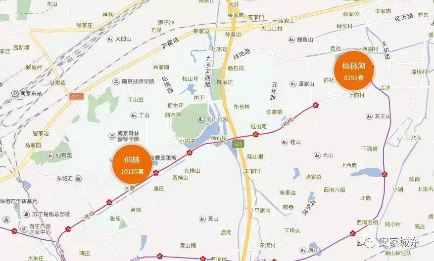 仙林湖与仙林中心板块,仙林中心和燕子矶怎么选择