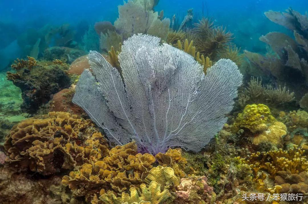 发现了长得像图卢姆的准网红小镇，人均500住进加勒比海景别墅