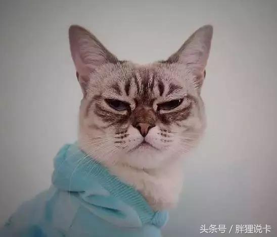 女朋友喜欢睡懒觉怎么回事,女生喜欢裸睡正常吗