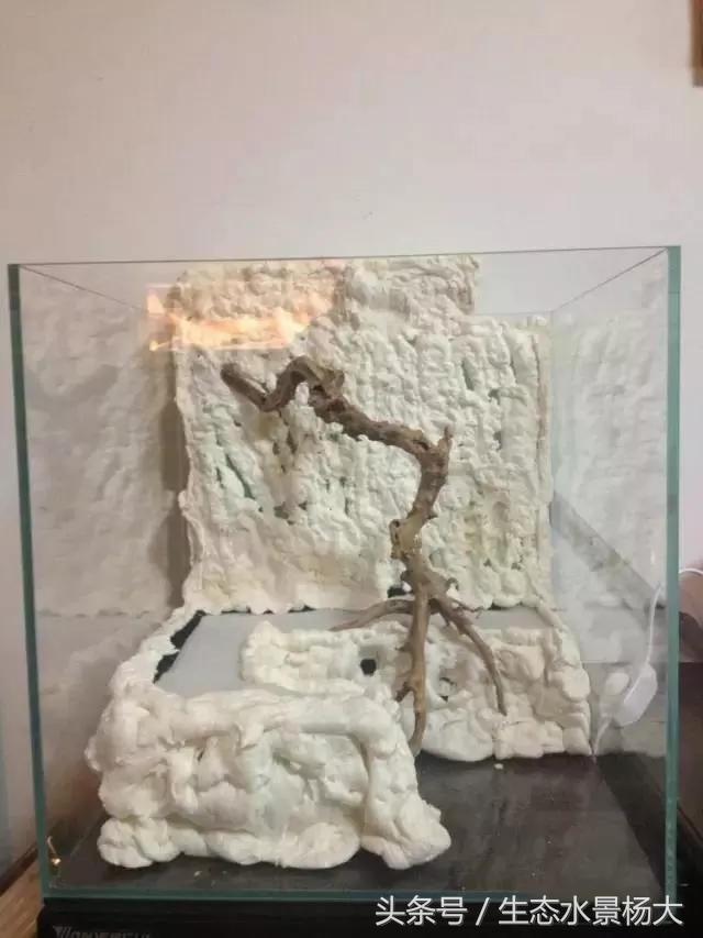 自己动手做水陆缸需要多少钱,第一次做缸视频教程