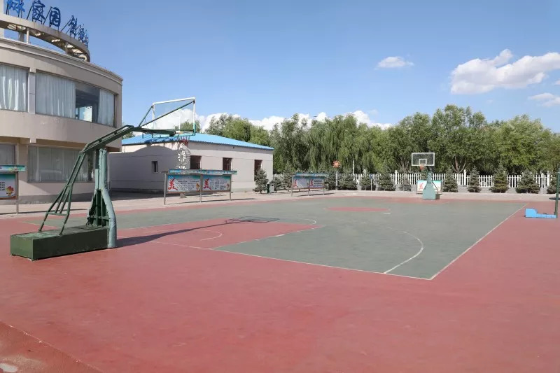 东胜的公立幼儿园有哪些,有了它你还怕迷路吗