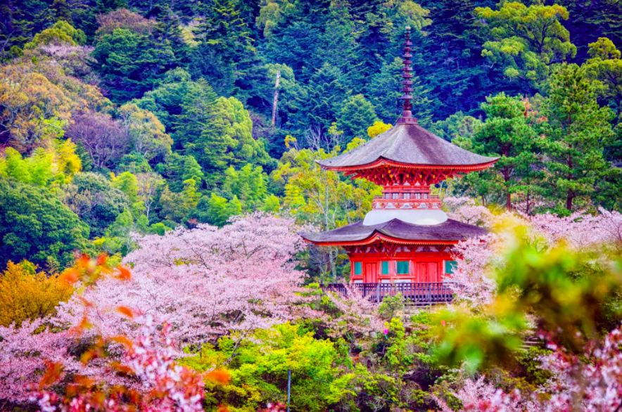 最古老的日本温泉,在日本最古老的温泉