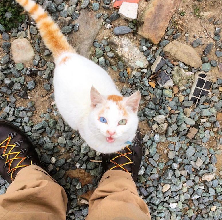 日本最高级的温泉,日本最古老的温泉是什么