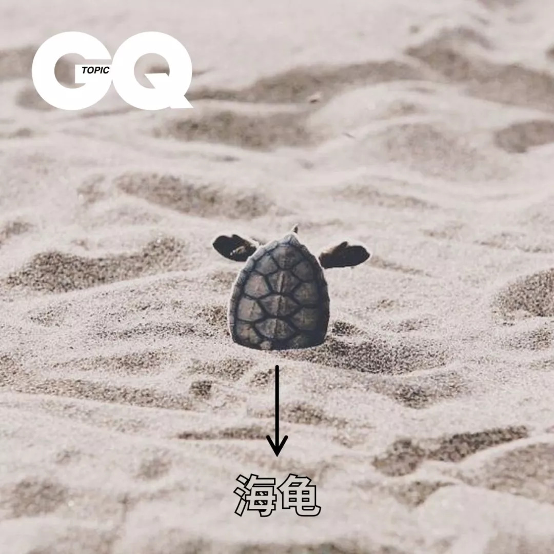 “出国留学，可能是我人生中最错误的决定”