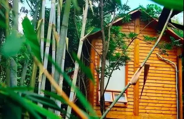 2月6-10（天天发班）蒙山（航天）康谷温泉度假村纯玩一日游——泡五星级露天温泉、赏山林间翠竹五星级中国长寿温泉128元