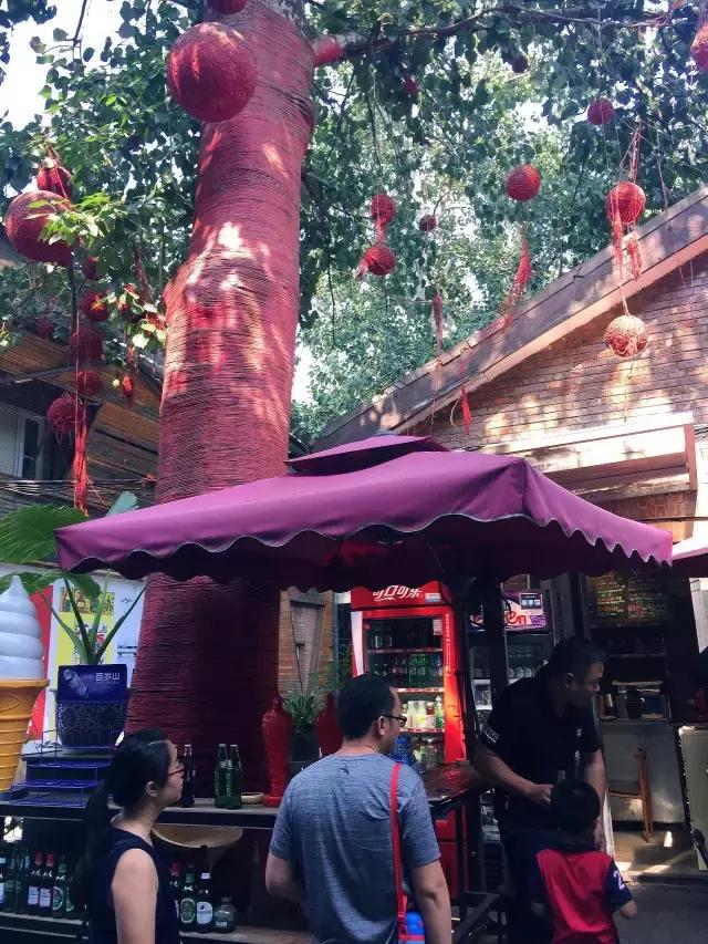 李凤全行走视频,行走798