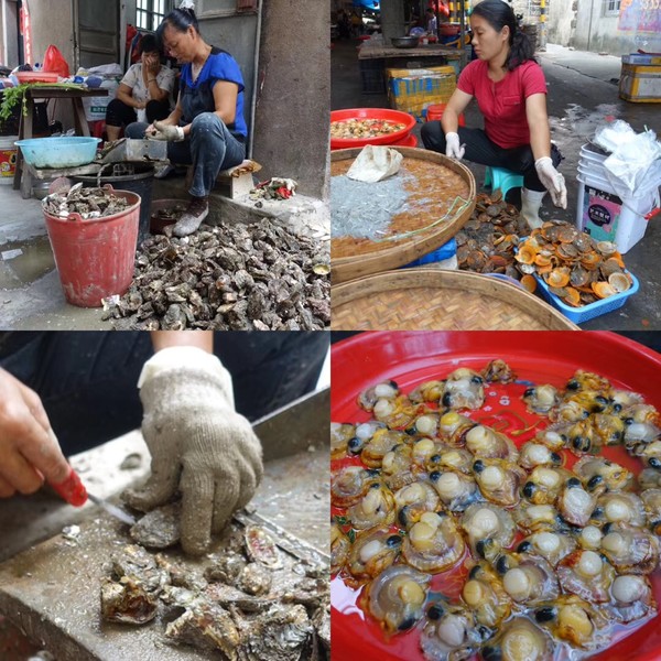 福建东山岛风动石景区视频,漳州东山县风动石景区介绍
