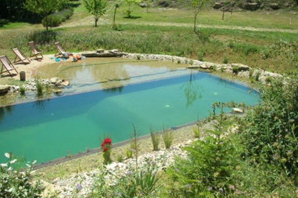 「龟龟环境篇」沼泽过滤(bogfilter):一种原生态水处理技术