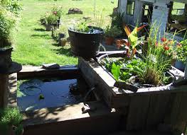 「龟龟环境篇」沼泽过滤(bogfilter):一种原生态水处理技术