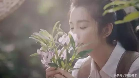 关于百雀羚的神级广告,百雀羚神广告