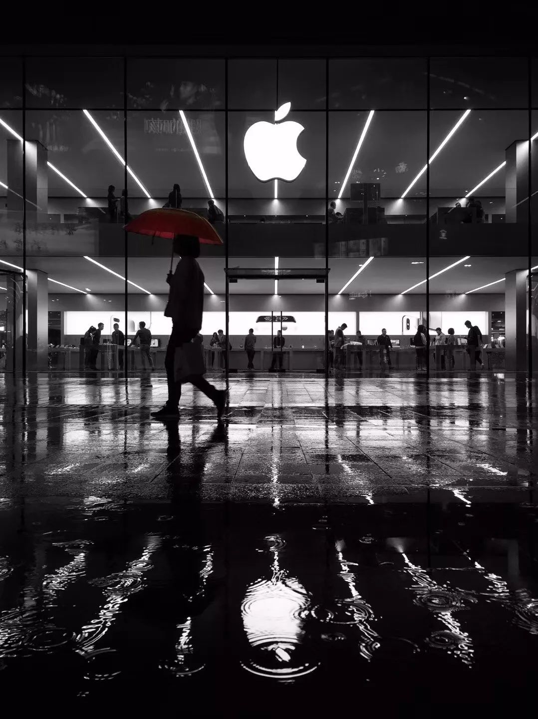 沈阳是哪个省的？已传疯，沈阳人都顶起！