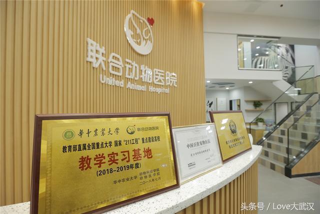 爱宠宠物医院服务中心,爱宠宠物医疗中心