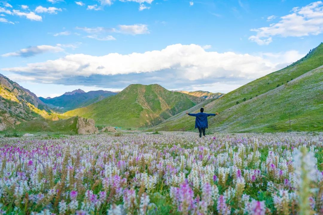 狂野飙车越野,青海穿越美景