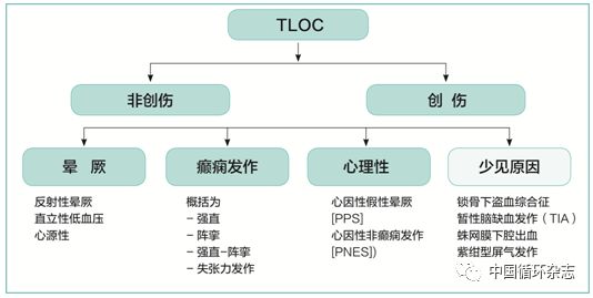 欧洲晕厥指南两大主席同台讲解2018指南：患者教育是反射性晕厥治疗基石
