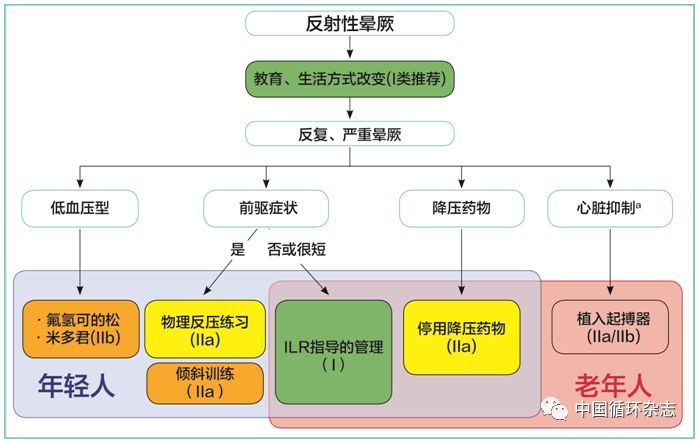 欧洲晕厥指南两大主席同台讲解2018指南：患者教育是反射性晕厥治疗基石