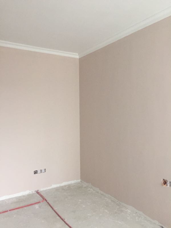 乳胶漆真假检测多少钱,乳胶漆如何辨别真桶假漆