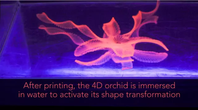 陶瓷4d打印设备,陶瓷4d打印