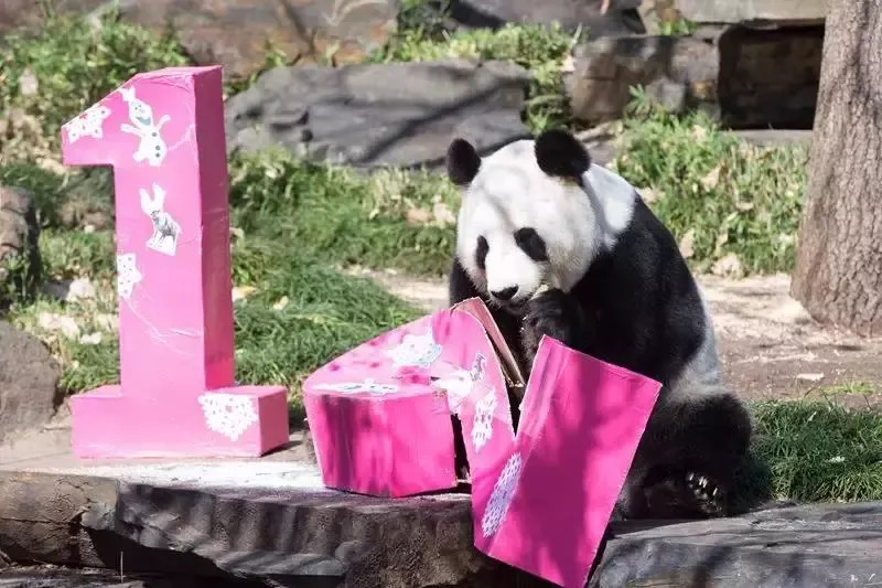 「丽江壹条」飞虎绝杀四川九牛主场三连胜！/无户口人员落户问题丽江公安这波操作666