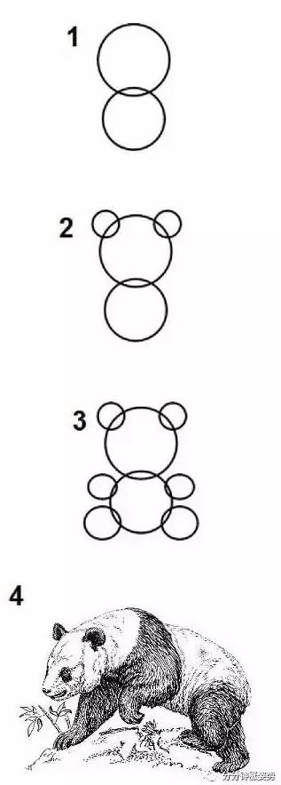 从入门到放弃系列图片,ipad绘画基础入门教程