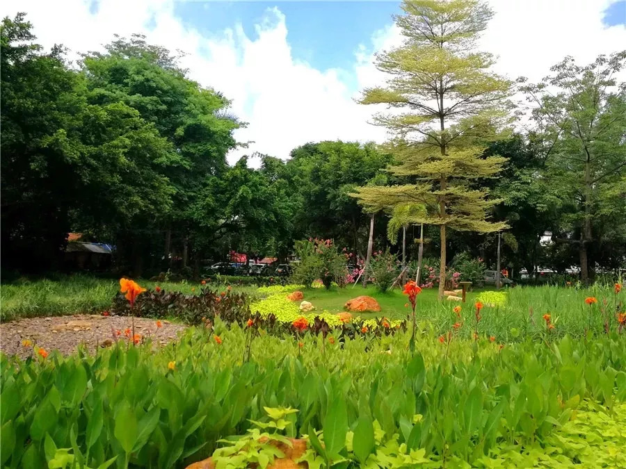 水清岸绿景怡人再添休闲好去处,冬日的南湖公园有多美