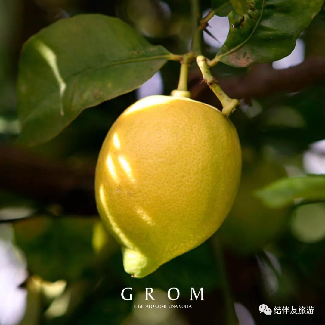 意大利风味冰淇淋,最近很火的冰淇淋意大利