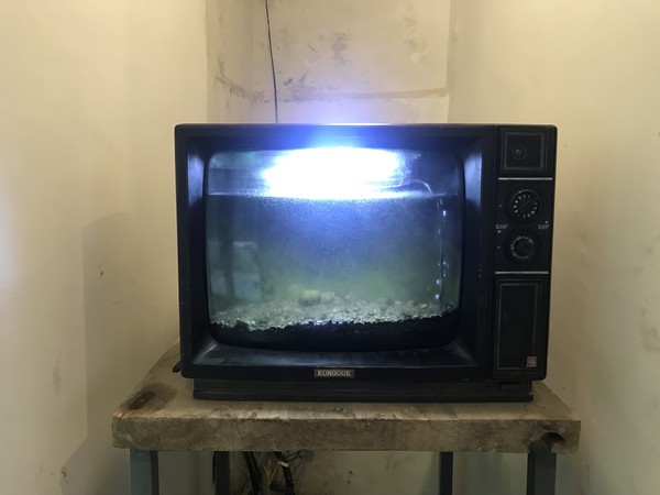 桂林阳朔无敌风景,阳朔龙头山水美如人间仙境