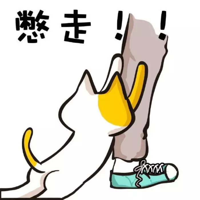 以前的南宁邕江大桥,南宁邕江桥珍贵记录